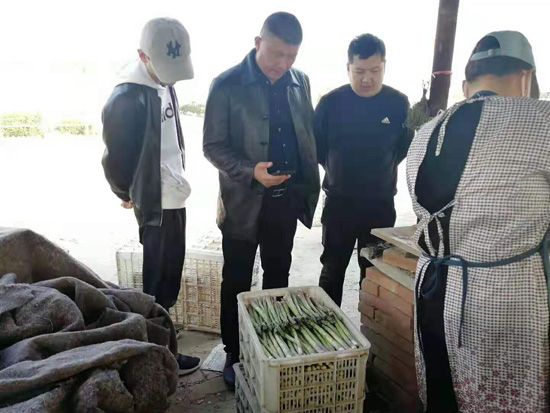 來(lái)自河南、山東、新疆的客人在種植園考察
