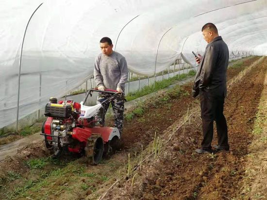 來(lái)自河南、山東、新疆的客人在種植園考察