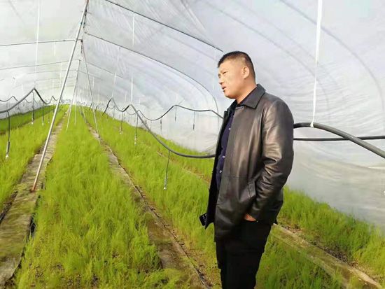 來(lái)自河南、山東、新疆的客人在種植園考察