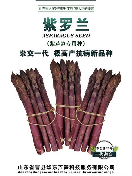 蘆筍的種子播種時間是什么時候？